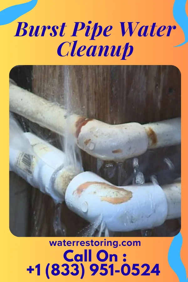 Burst Pipe Water Cleanup in Trinity, NC