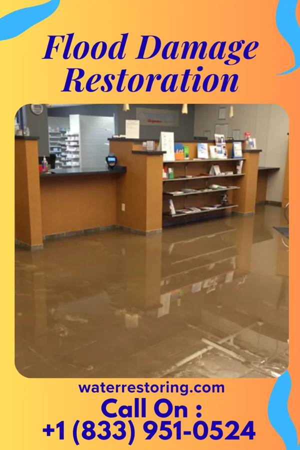 Flood Damage Restoration in Trinity, NC