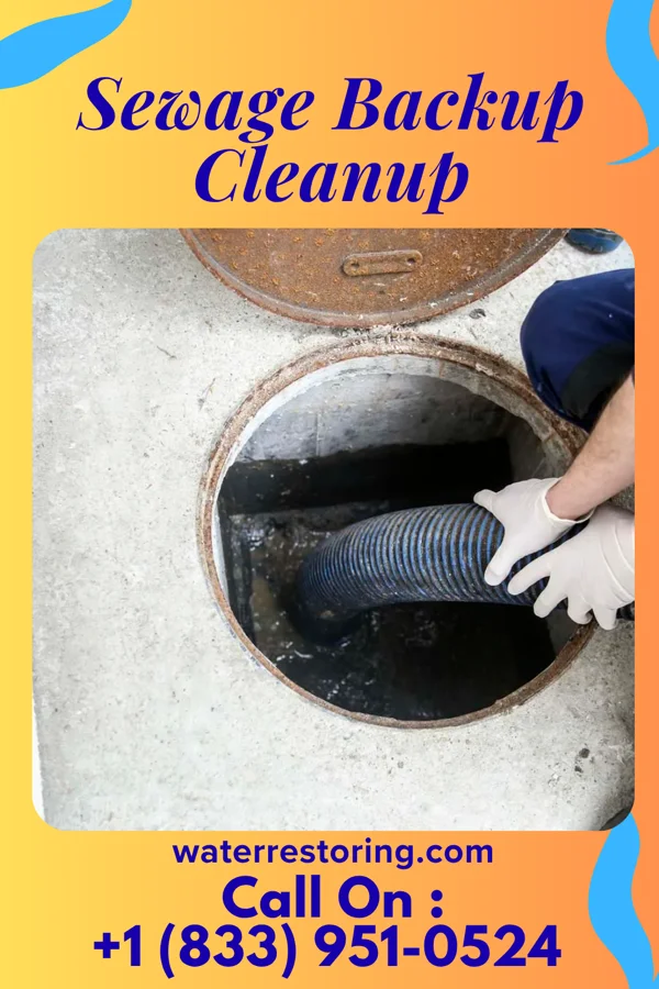 Sewage Backup Cleanup in Trinity, NC
