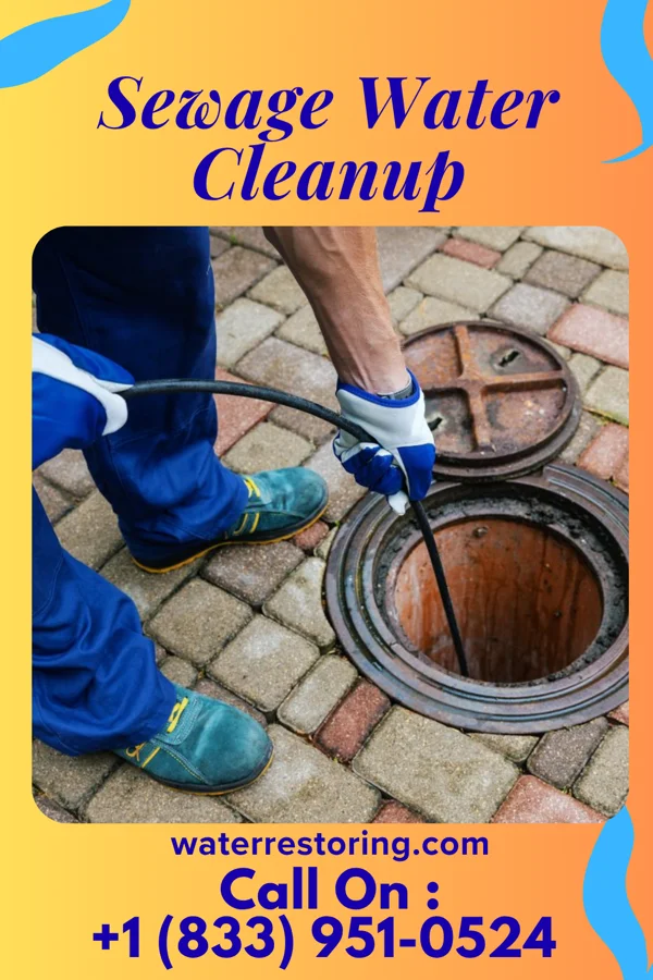 Sewage Water Cleanup in Trinity, NC