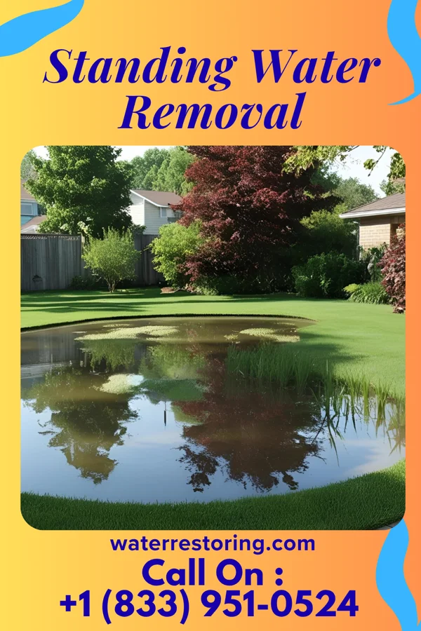 Standing Water Removal in Trinity, NC